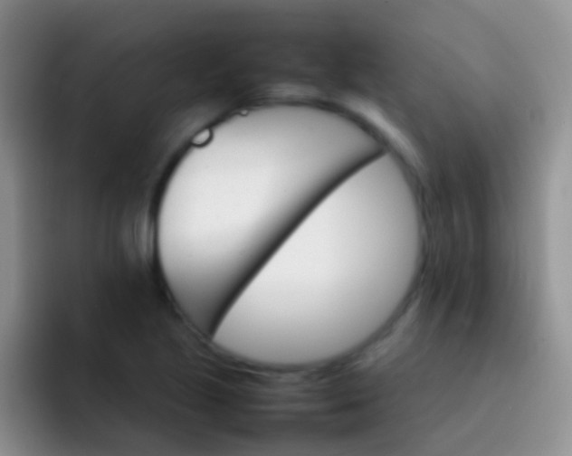 X0000092071221200709262040