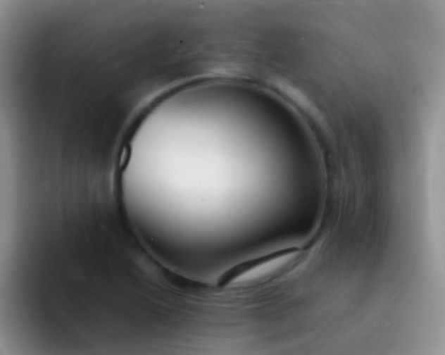X0000092071222200709262040