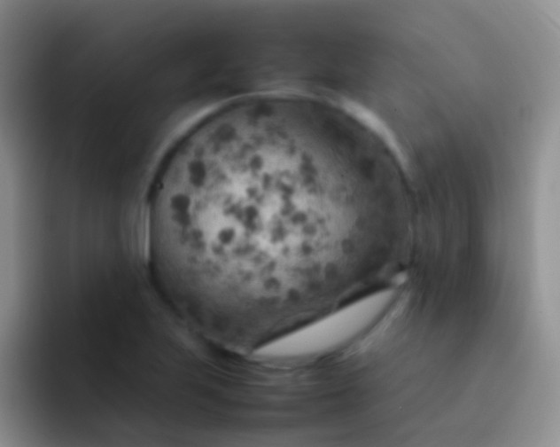 X0000092071223200709262040