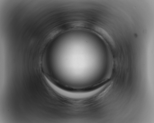 X0000092071225200709262040