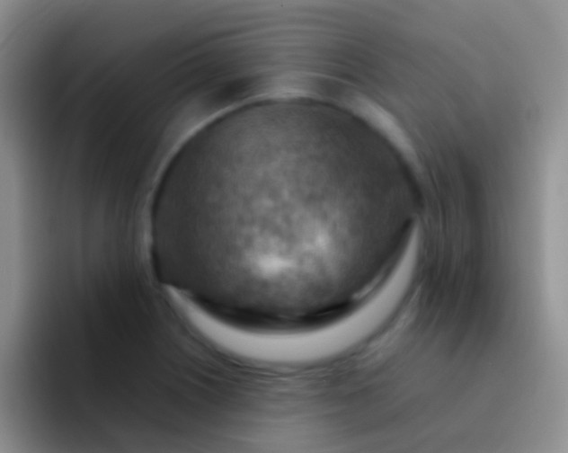 X0000092071226200709262040