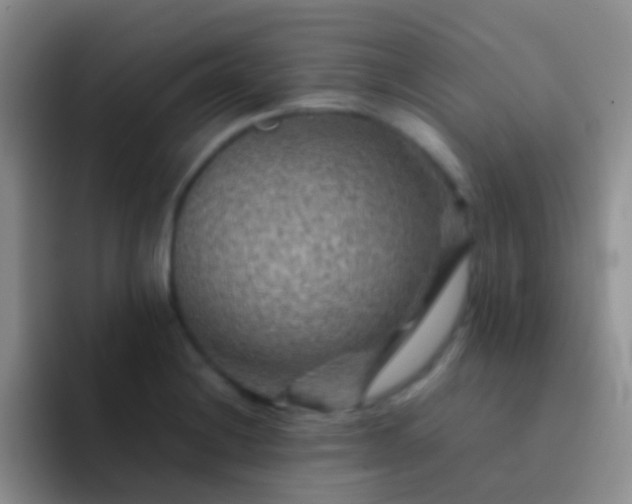 X0000092071228200709262040