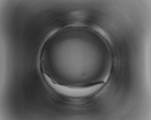 X0000092071229200709262040