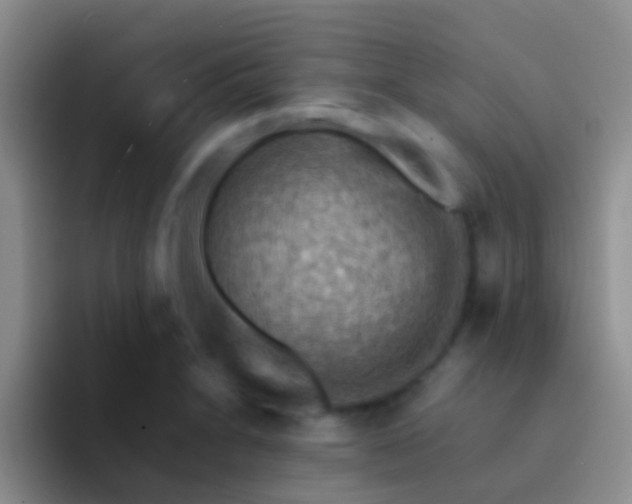 X0000092071230200709262040
