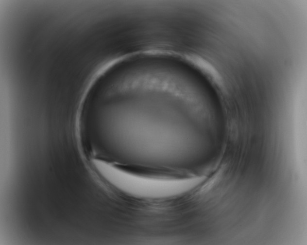 X0000092071231200709262040