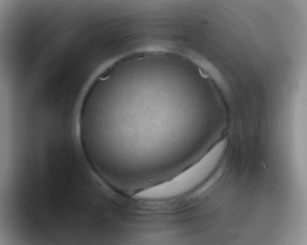 X0000092071232200709262040