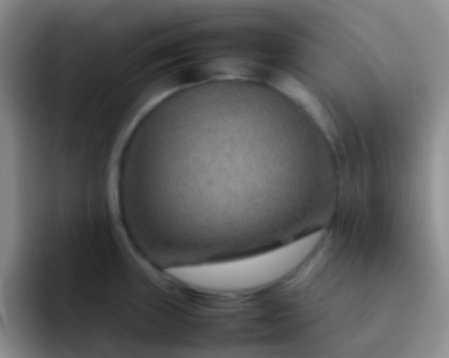 X0000092071235200709262040