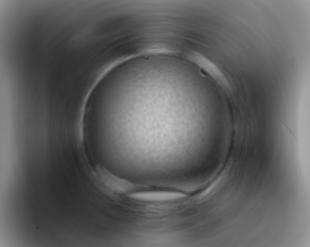 X0000092071236200709262040