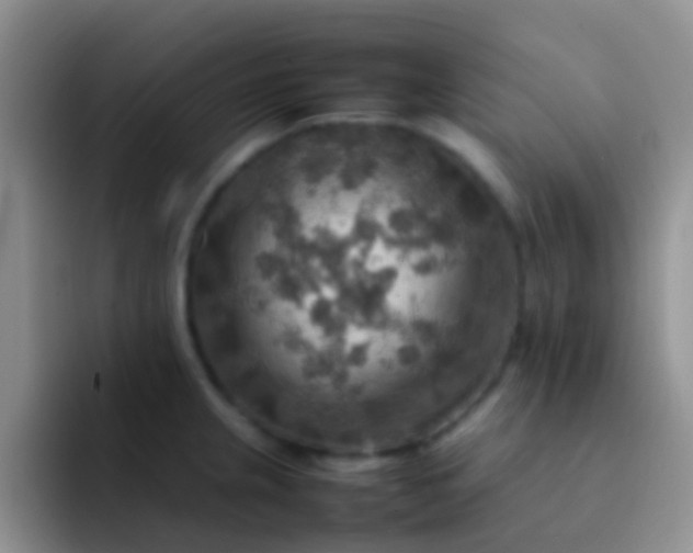 X0000092071237200709262040