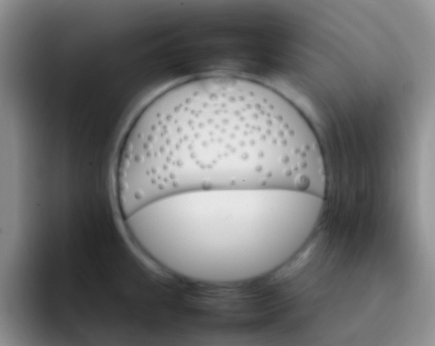 X0000092071239200709262040