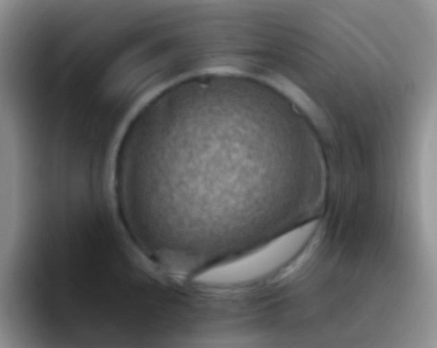 X0000092071240200709262040