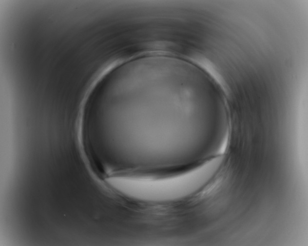 X0000092071245200709262040