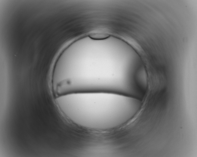 X0000092071248200709262040