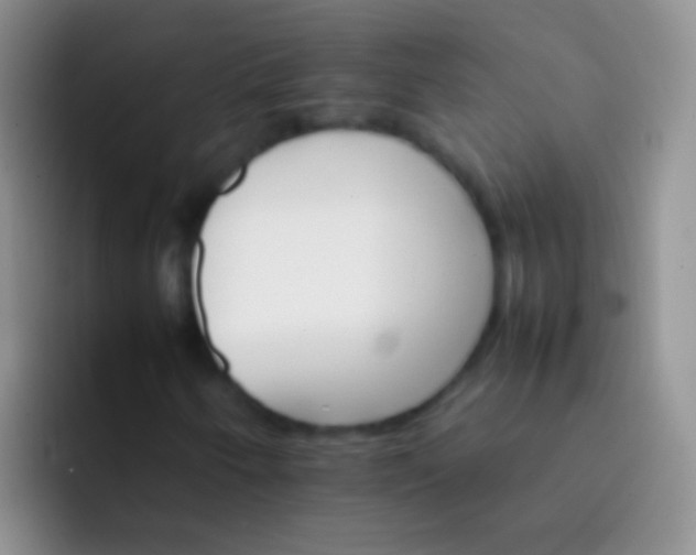 X0000092071250200709262039