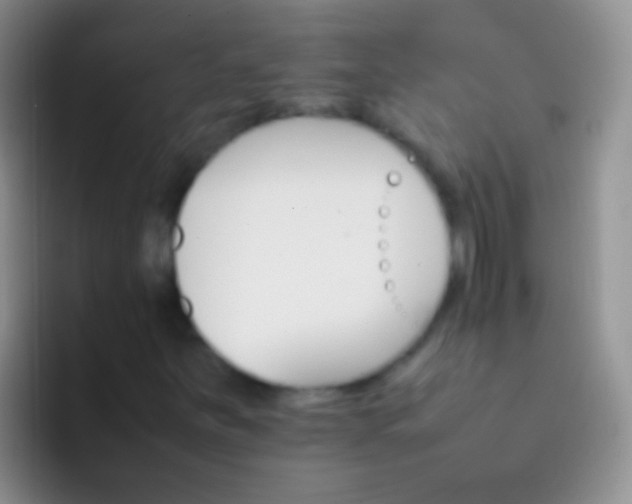 X0000092071251200709262039