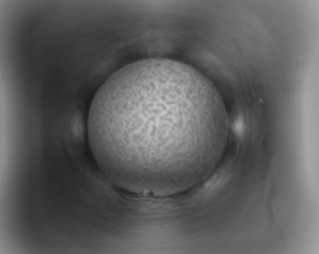 X0000092071252200709262039
