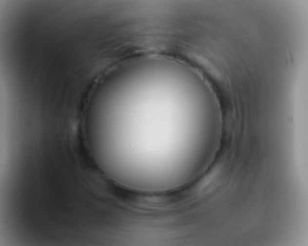 X0000092071257200709262039