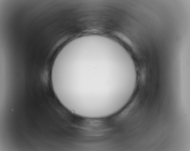X0000092071258200709262039