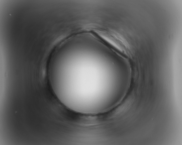 X0000092071261200709262039