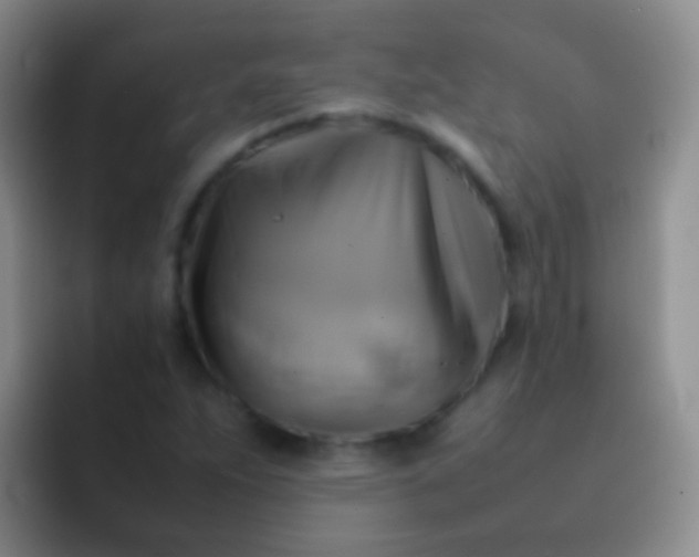 X0000092071263200709262039