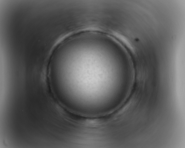 X0000092071264200709262039