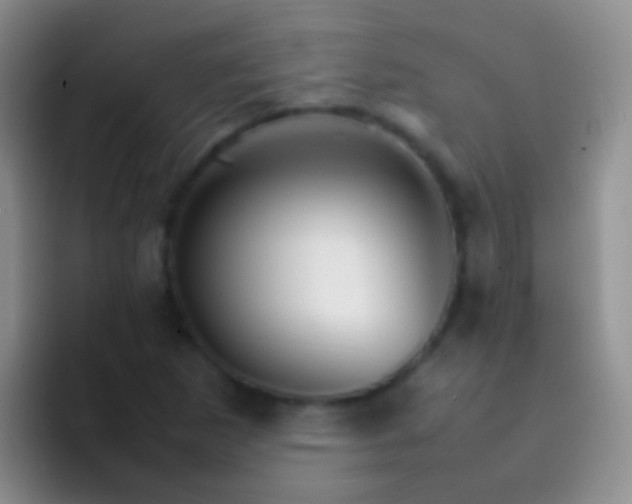 X0000092071265200709262039