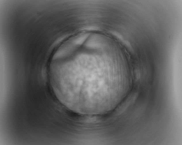 X0000092071266200709262039
