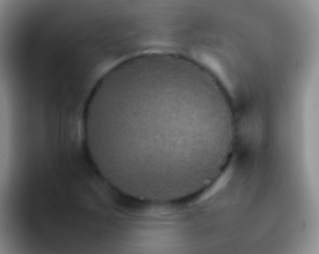X0000092071267200709262039