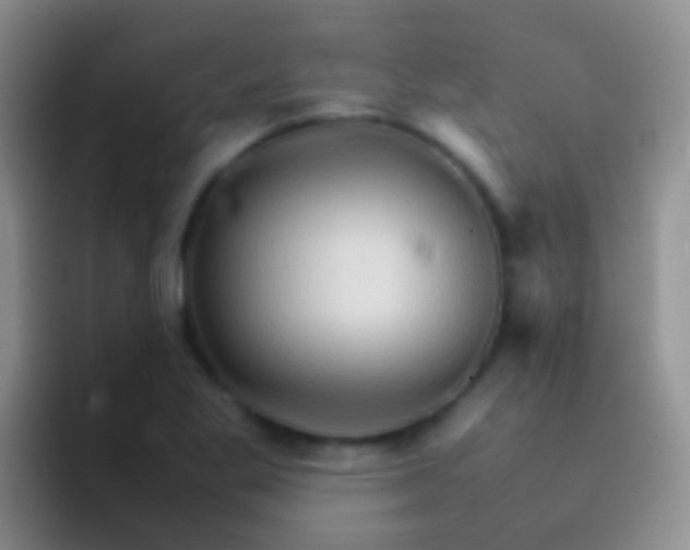 X0000092071269200709262039