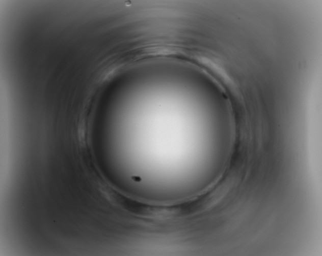 X0000092071273200709262039