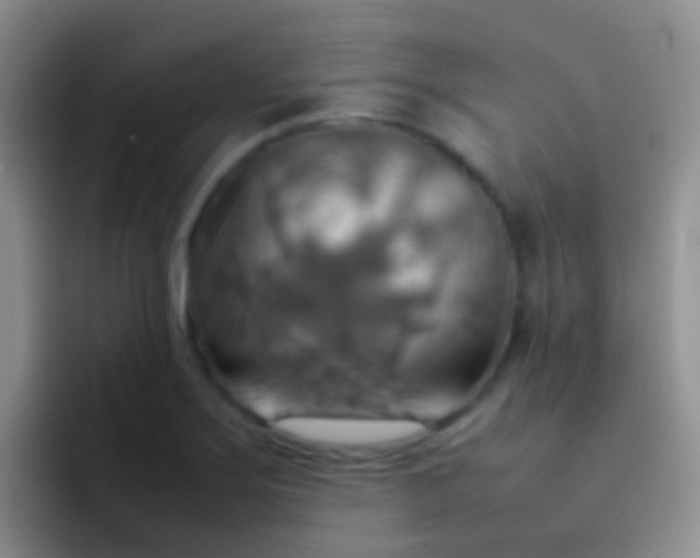 X0000092071275200709262039