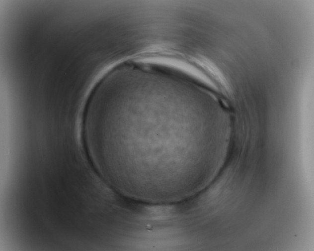 X0000092071277200709262039