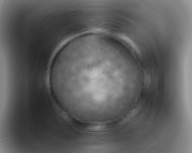 X0000092071278200709262039