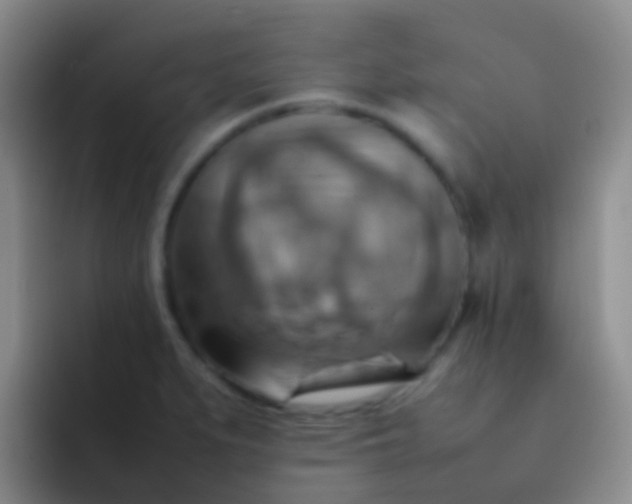 X0000092071279200709262039