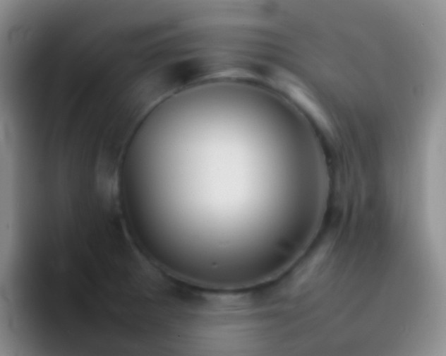 X0000092071281200709262039