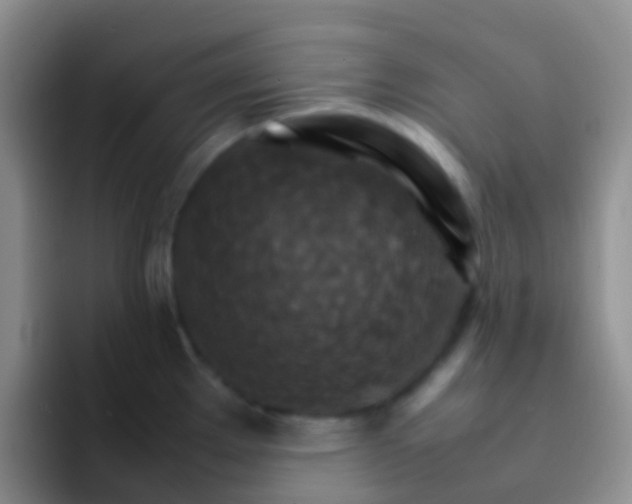 X0000092071289200709262039
