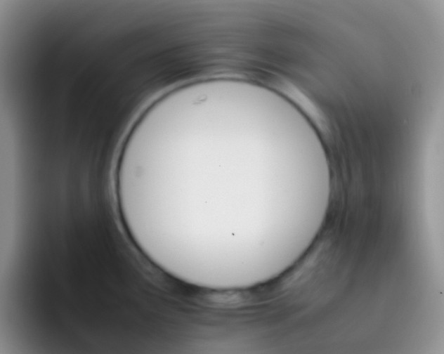 X0000092071291200709262039