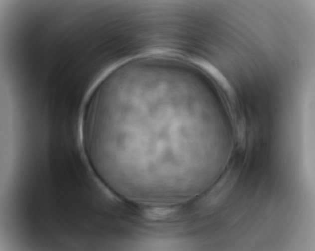 X0000092071294200709262039