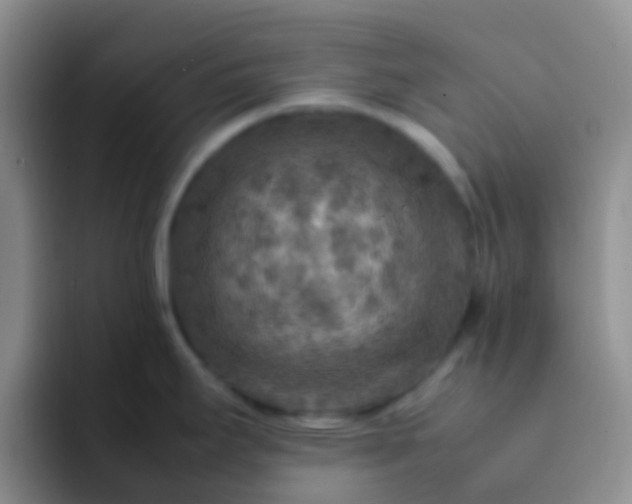 X0000092071295200709262039