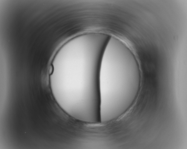 X0000092071296200709262039