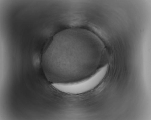 X0000092071300200709262038