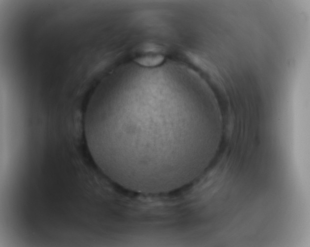 X0000092071301200709262038