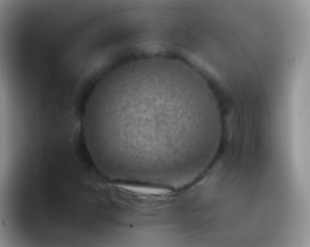 X0000092071302200709262038