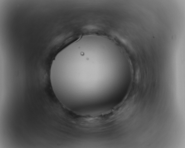 X0000092071303200709262038