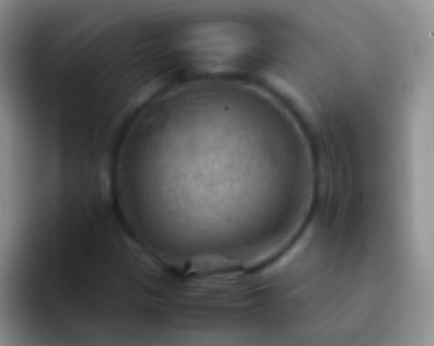 X0000092071305200709262038