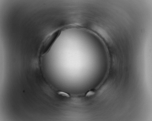 X0000092071308200709262039