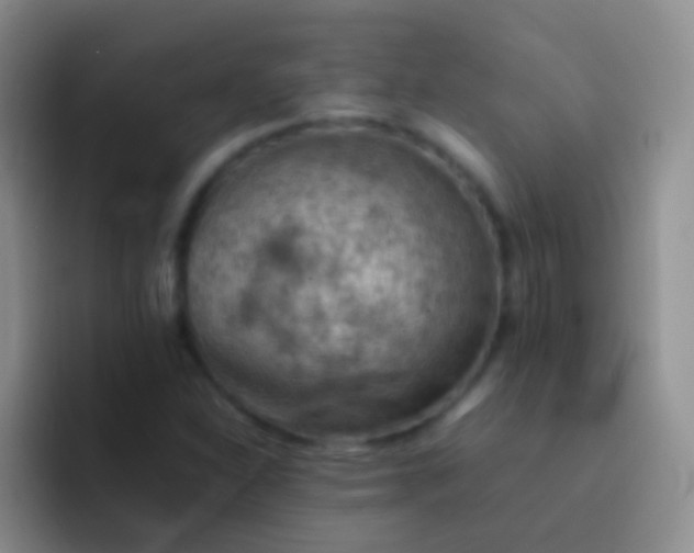 X0000092071310200709262039