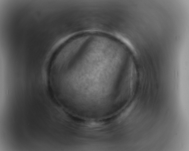 X0000092071311200709262039
