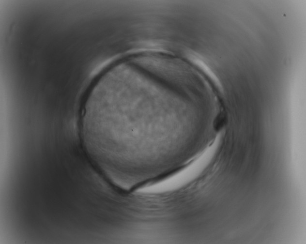 X0000092071312200709262039