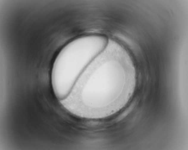 X0000092071314200709262039